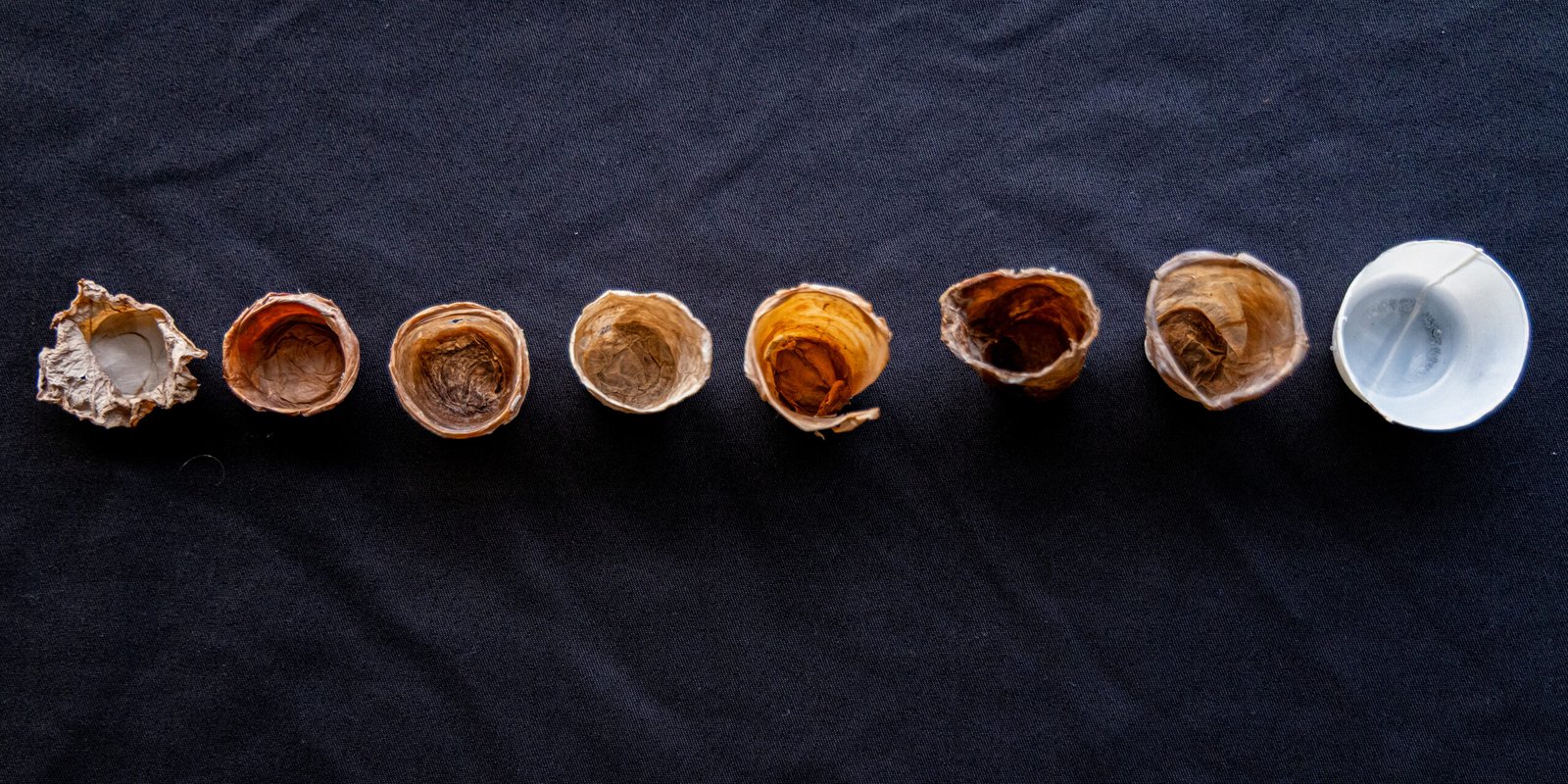 Evolution of the Plastilose medicine cup