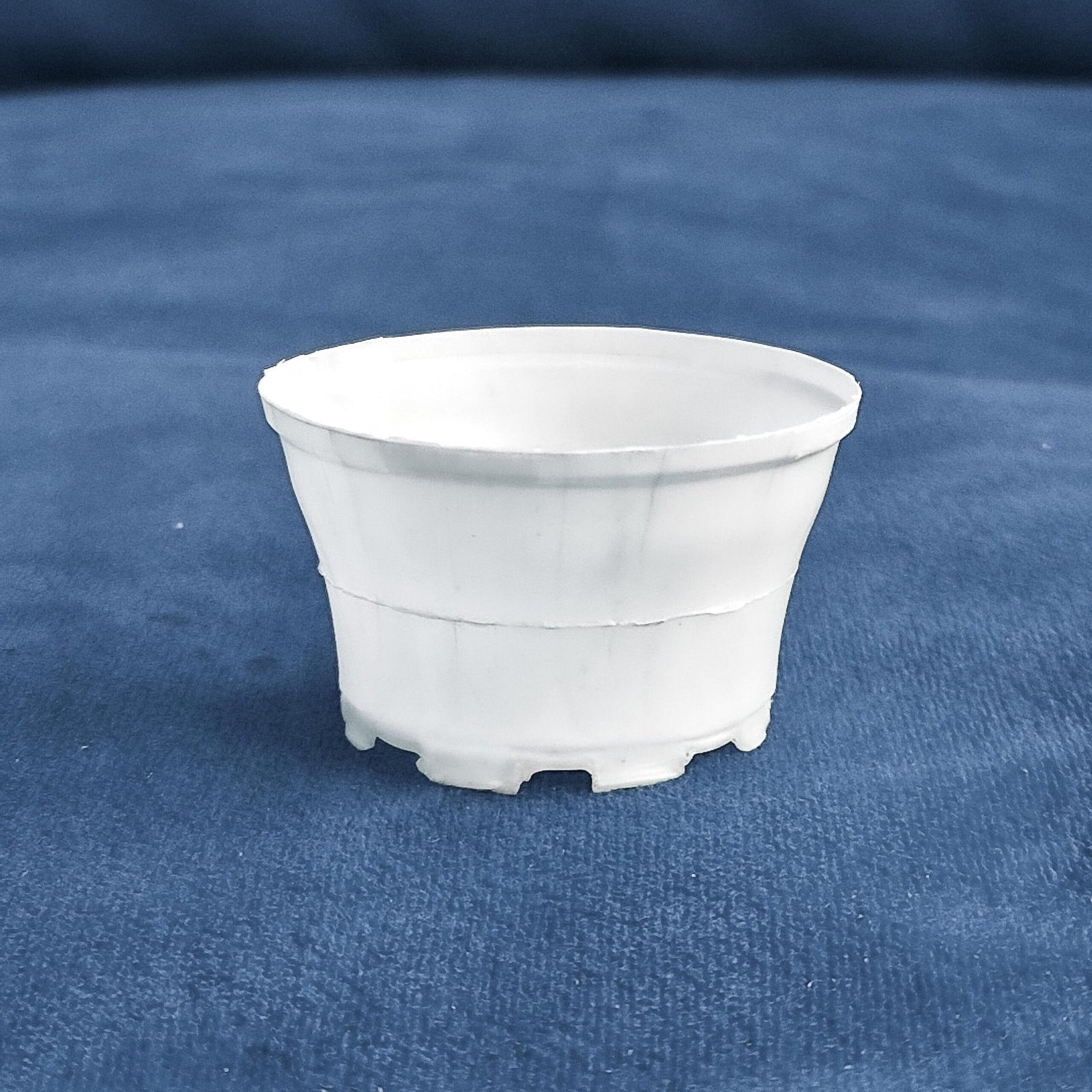 Plastilose sustainable medicine cups