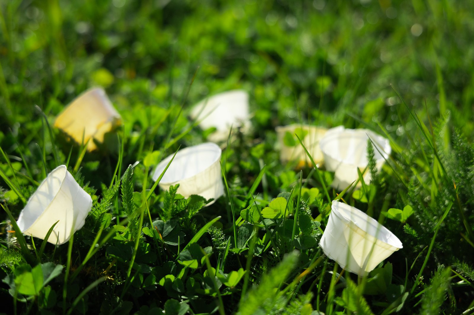 Plastilose medicijncupje in het gras, volledig afbreekbaar