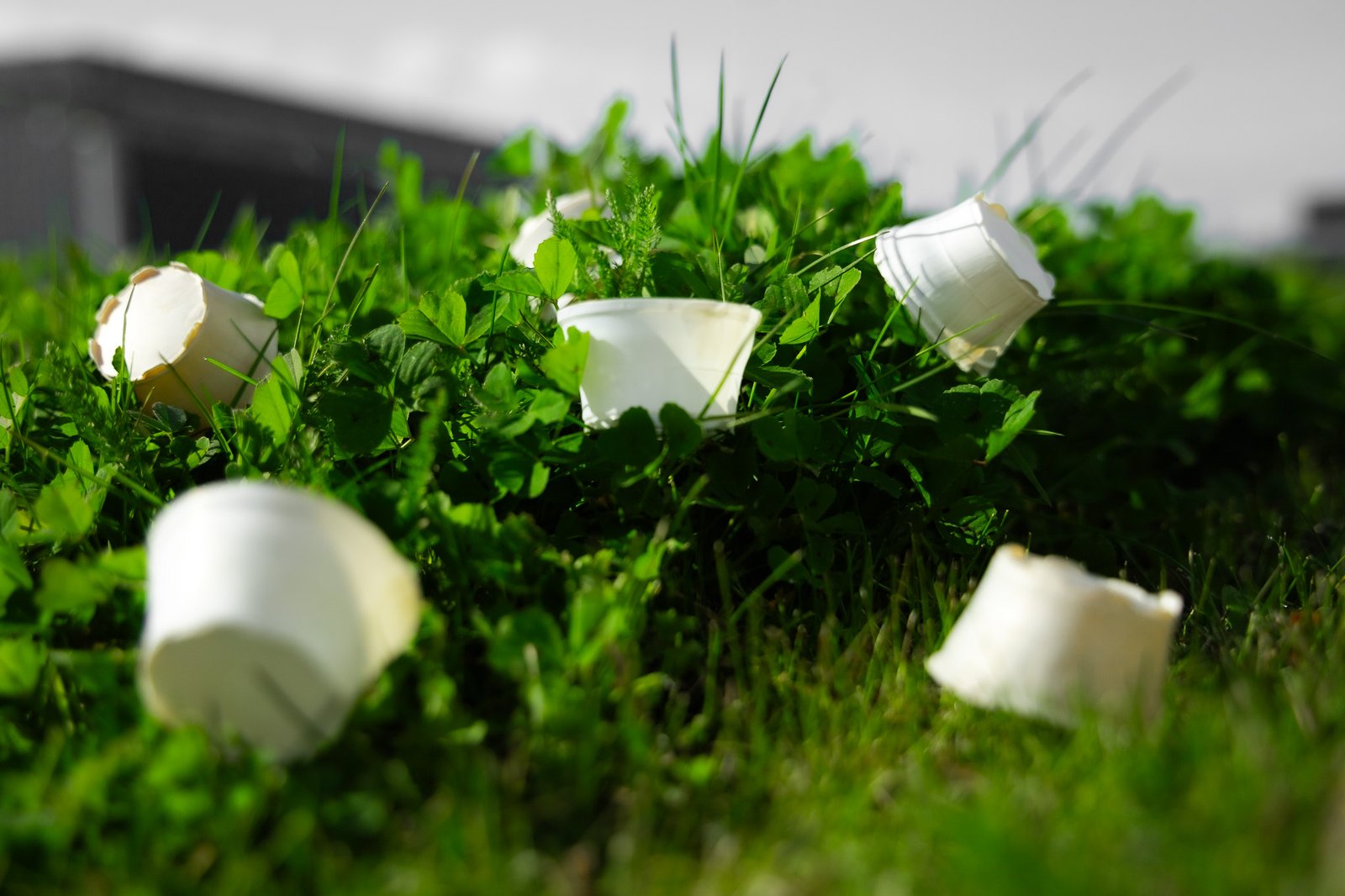 Plastilose biodegradable cups in nature