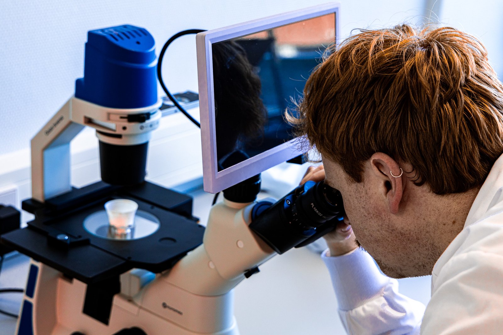 Plastilose lab microscope research