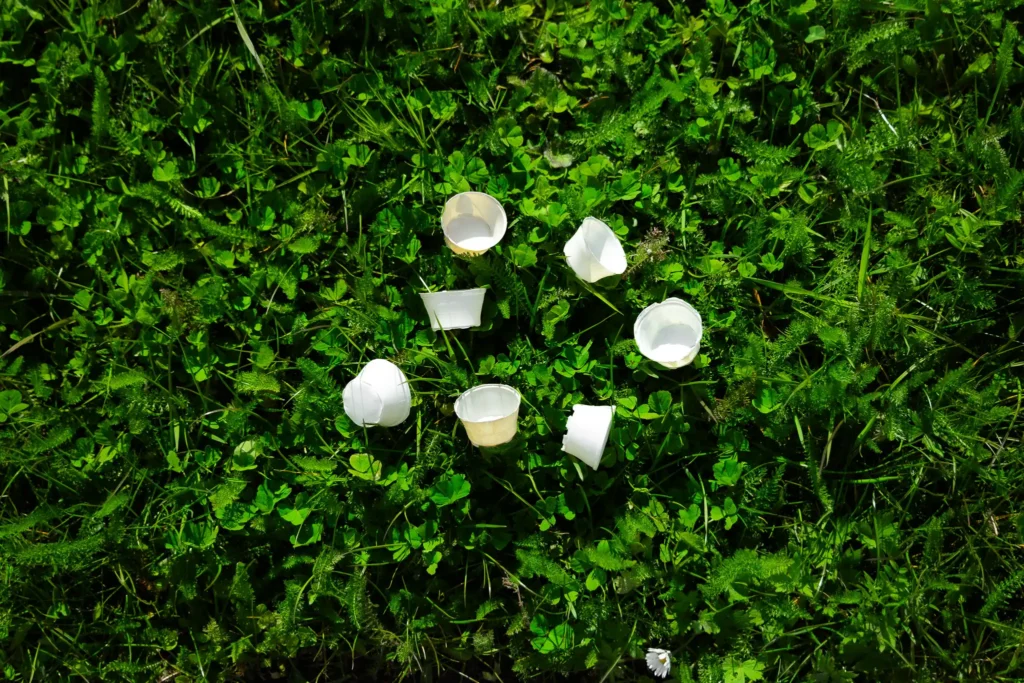 Medicijncupjes van bacteriële cellulose in een kring op het gras