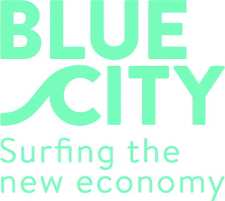 BlueCity